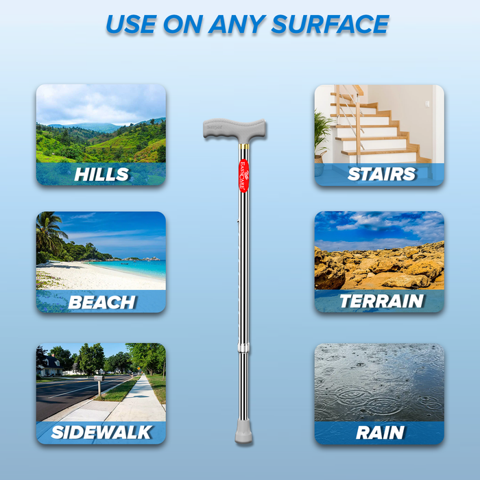 Cane with images of different terrains on a blue background
