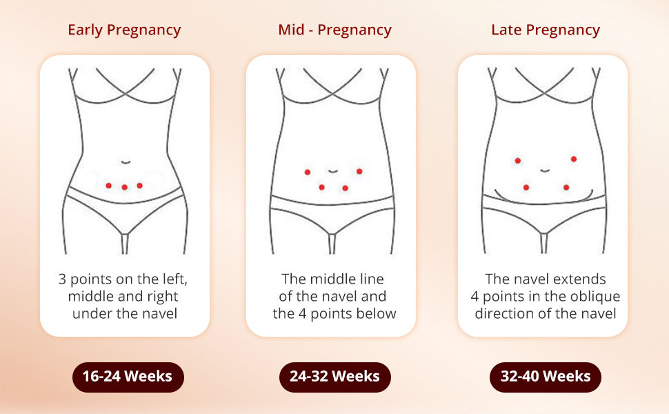 Illustration showing changes in a pregnant woman's belly during early, mid, and late pregnancy.