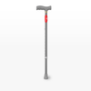 walking stick with gray handle and base on a white background