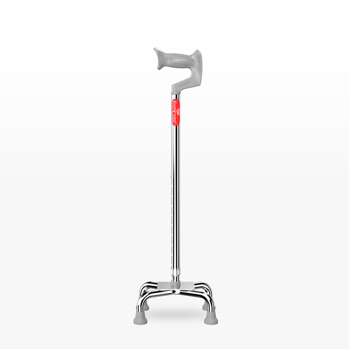 Silver walking stick with a red label on a white background