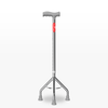 Silver walking cane with a red label on a white background