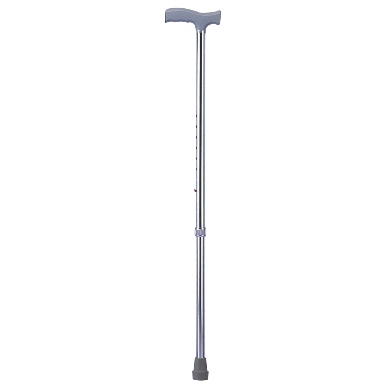 Walking Sticks